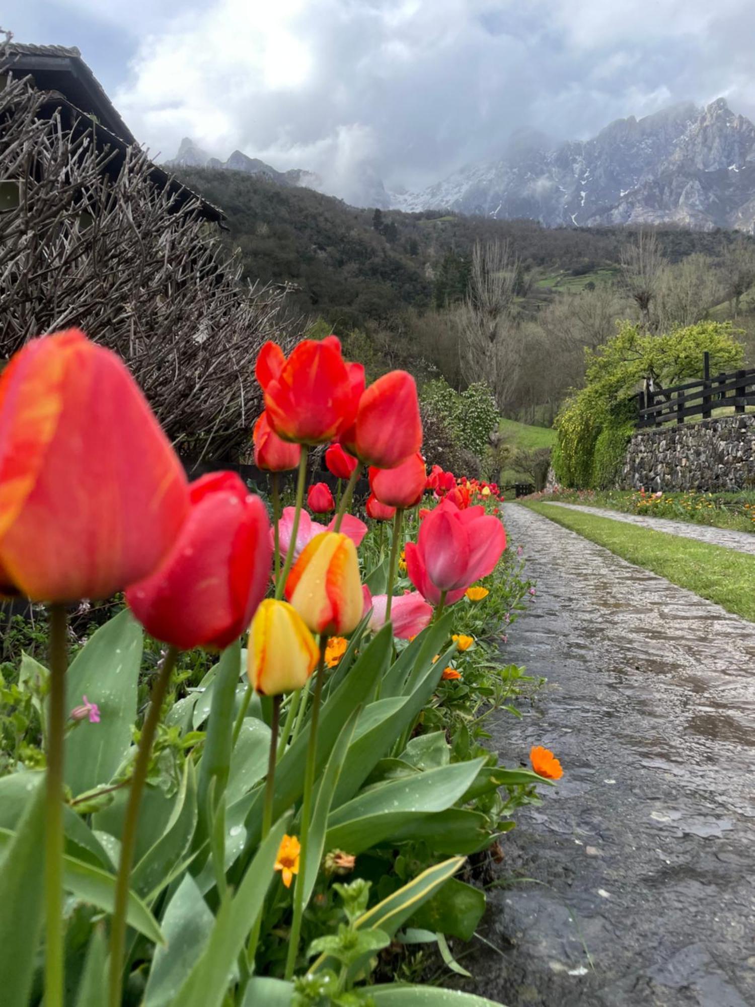 Posada San Pelayo Camaleño Zewnętrze zdjęcie